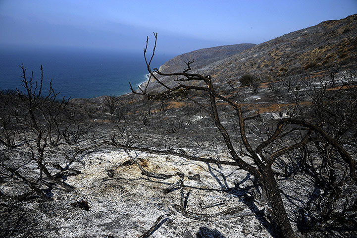 A view of the fire scorched hills 40 miles north of Los Angeles