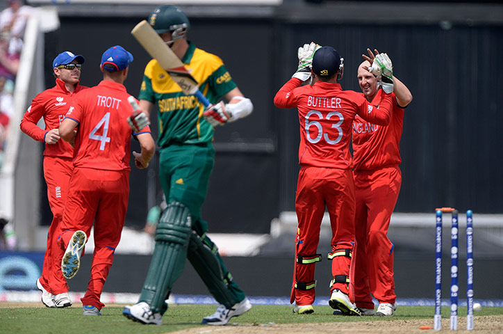 England v South Africa: England v South Africa