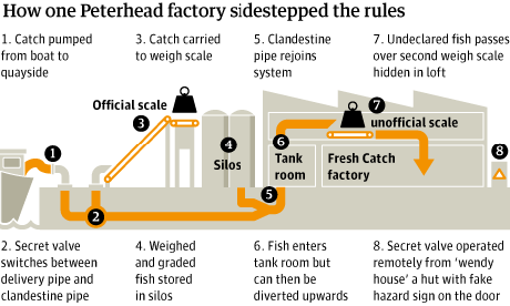 Black fish factory graphic