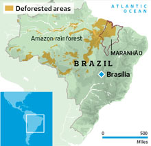 [Image: Deforested-areas-in-Brazi-001.jpg]
