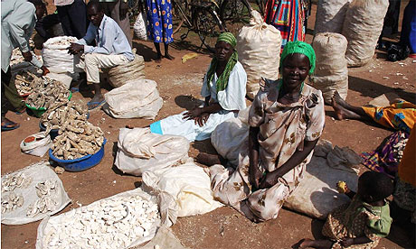 Katine Farm lead pic