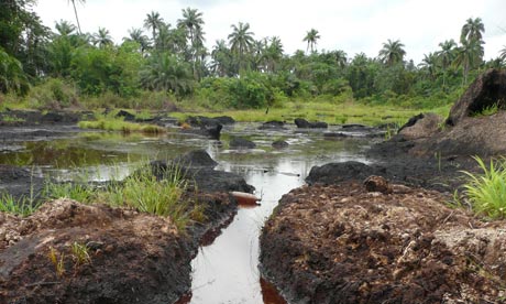 The impact of an oil spill near Ikarama, Bayelsa State, Niger Delta