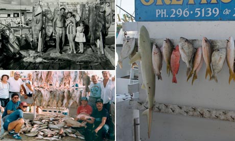 Composite: Recreational fish landings in the 1950s, 1980s and 2000s in Key West Florida