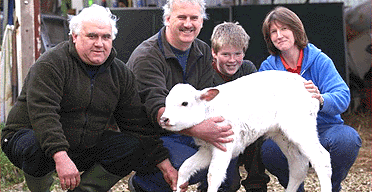 Ross Board, 11, celebrates with his family and their calf Phoenix  after she was  saved from the foot and mouth cull. Photo: Chris Ison, PA 