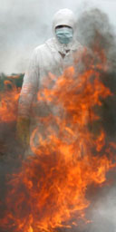 A Russian health worker burns a duck that was found dead near a chicken farm affected by bird flu in the Siberian village of Oktyabrskoe. Photograph: Sergei Karpukhin/Reuters