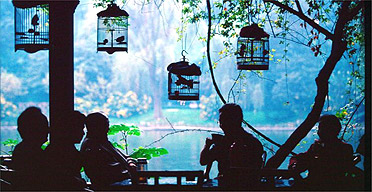 Bird keepers rest in a tea house in Chengdu, China