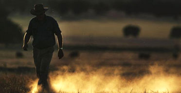 Australian farmer Wayne Dunford walks through his failed barley in Parkes, New South Wales