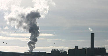 A Staffordshire plant incinerates birds from the Suffolk turkey farm hit by the H5N1 strain of avian flu