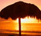 palm beach sunset