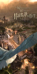 Harry Potter theme park