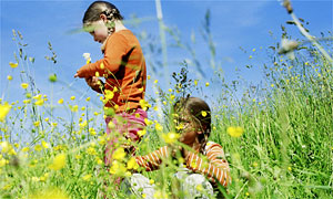 Girls playing in grass
