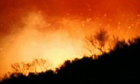 California Fires