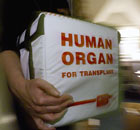 Organ transplant box