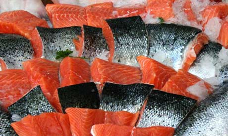 Salmon fillets and other fish on ice at a counter