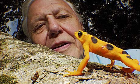 attenborough10c.jpg