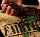 Fairtrade coffee beans