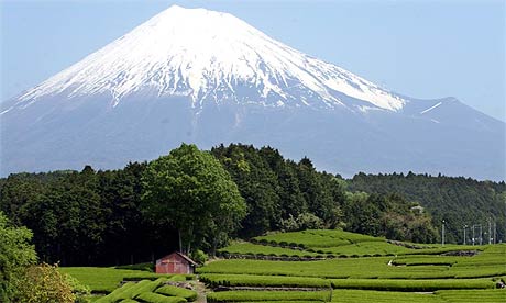 Mount Fuji