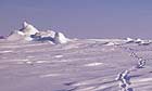 Arctic, North Pole