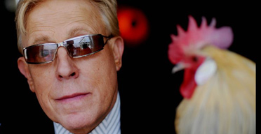 Price keeps bantams and peacocks at his Buckinghamshire home