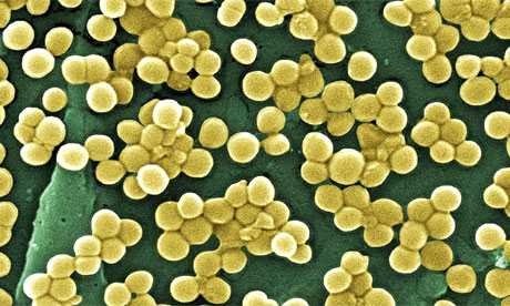 Mrsa Infection In Children Photos