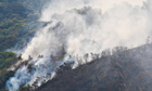 Colombian rainforest cleared for Coca production