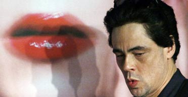 Benicio del Toro stands by a poster for 'Che'