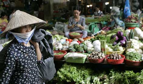 Vietnam: achieved one of the fastest cases in poverty reduction on record