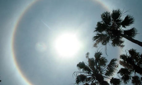 The sun shines high above a cluster of palms. Photograph: Andy Newman/AFP/Getty Images