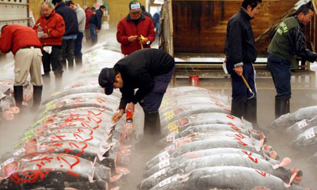 Japan Fishing