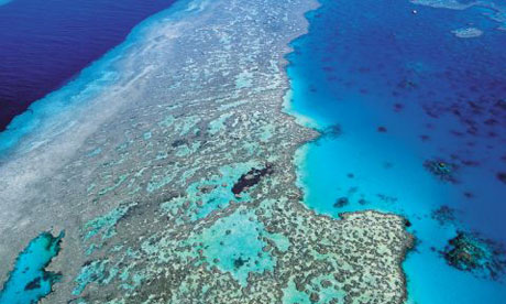 ome of Australia's environmental jewels such as the Great Barrier Reef are at risk from climate change.