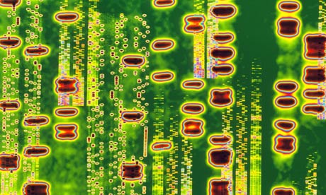 dna database essay dna database essay