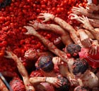 Revellers at the Tomatina Festival in Spain try and grab ripe tomatoes to throw at each other