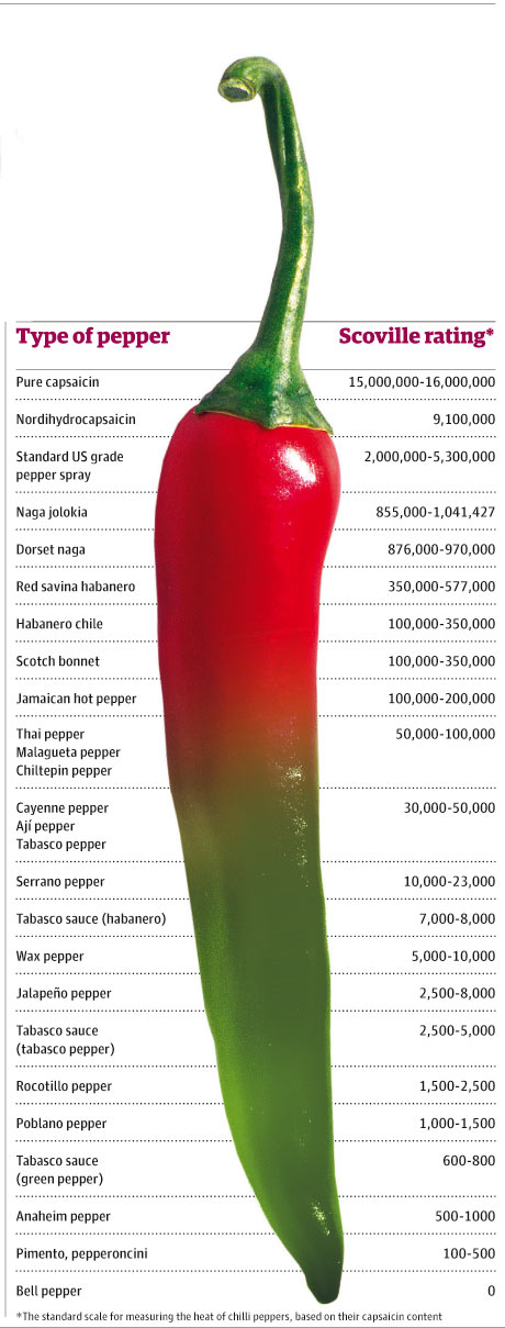 Chilli In The World Chart