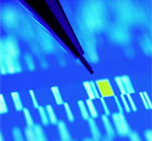 dna sequence