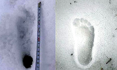 A composite image from Yeti Project Japan shows what team members claim is a yeti footprint (l) photographed on the Dhaulagiri mountain in Nepal, and a human footprint