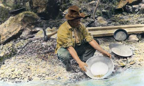 gold rush california. A prospector pans for gold in