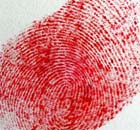  A fingerprint
