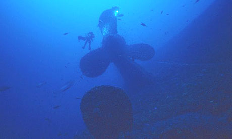 Propellers Of The Titanic. swims around the propeller