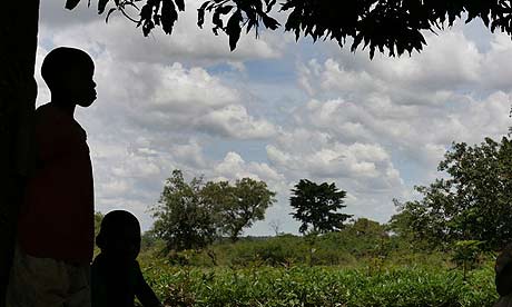 Children under a mango tree in Katine
