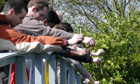 Competitors at the 2008 World Poohsticks Championships at Day's Lock