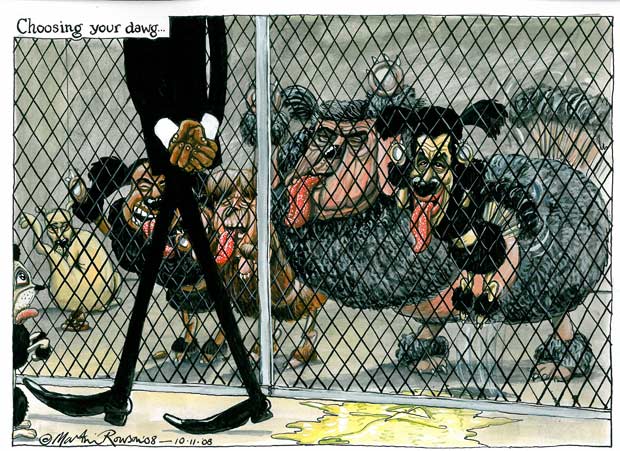 http://static.guim.co.uk/sys-images/Guardian/Pix/pictures/2008/11/10/rowson620.jpg