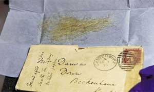 Darwin exhibition: beard hairs