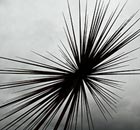 The B of the Bang steel sculpture in Manchester