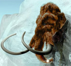 Mammoth
