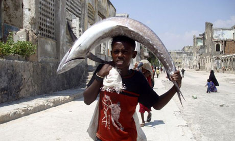 Somali Fish
