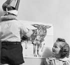 Children playing Pin The Tail On The Donkey
