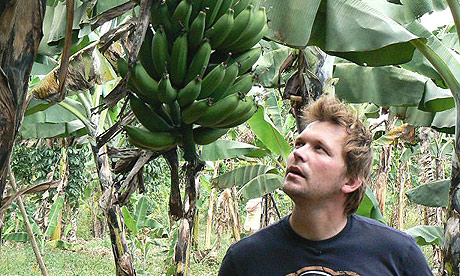 Jimmy Doherty on a plantation near Kampala, Uganda, in BBC2s Horizon programme