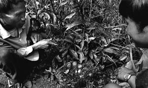 Cluster bombs in Laos