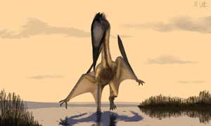 Lacusovagus magnificens