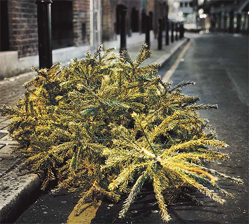 Wrapping paper designed by Rankin